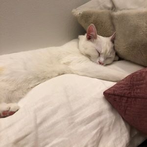 Meet your Posher, Sheryl